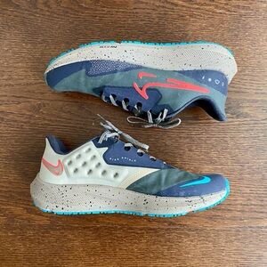 Nike Pegasus 39 Shield